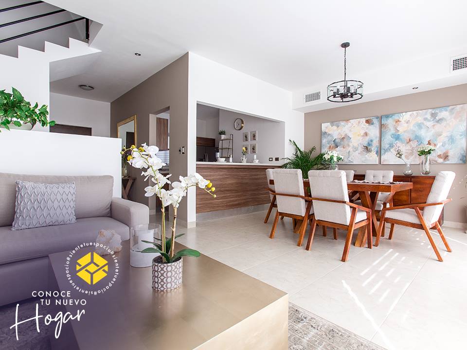 56447540_1286058021547901_4671649336747098112_n